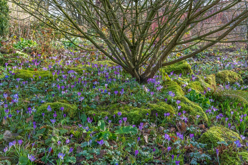 Bates Green Garden